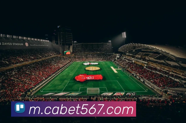 cabet亚州城服务体系