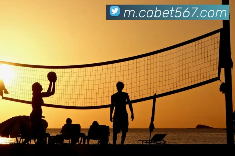 奖项证书
